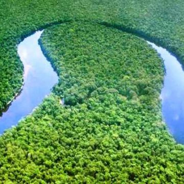 Bassin du Congo : Relever les défis d’une gestion durable Bassin du Congo : Relever les défis d’une gestion durable