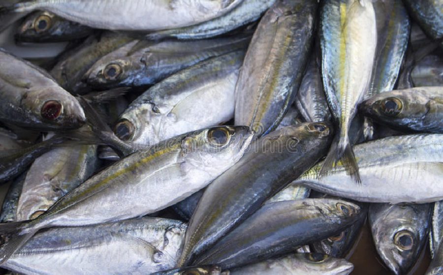 L’INS redoute une flambée des prix du poisson du fait de l’interdiction des importations de Chine, foyer du Coronavirus