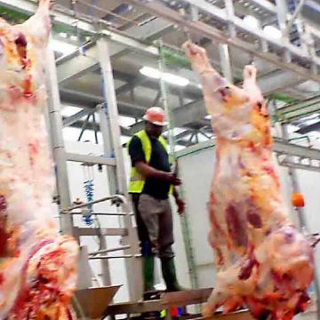 Conservation de la viande au Cameroun : les manques à gagner mis au frais Conservation de la viande au Cameroun : les manques à gagner mis au frais