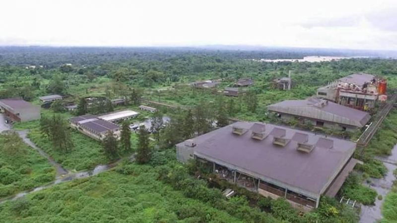 Cameroun: Un technopole industriel va être érigé sur le site de l’ex-Cellucam a Edéa (Littoral) Cameroun: Un technopole industriel va être érigé sur le site de l’ex-Cellucam a Edéa (Littoral)
