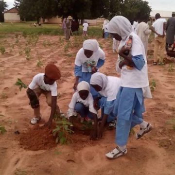 CAMEROUN-LUTTE CONTRE LA DÉFORESTATION : 14 000 ARBRES A PLANTER DANS LA RÉGION DE L’EXTRÊME-NORD CAMEROUN-LUTTE CONTRE LA DÉFORESTATION : 14 000 ARBRES A PLANTER DANS LA RÉGION DE L’EXTRÊME-NORD