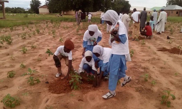 CAMEROUN-LUTTE CONTRE LA DÉFORESTATION : 14 000 ARBRES A PLANTER DANS LA RÉGION DE L’EXTRÊME-NORD CAMEROUN-LUTTE CONTRE LA DÉFORESTATION : 14 000 ARBRES A PLANTER DANS LA RÉGION DE L’EXTRÊME-NORD