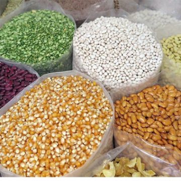 CAMEROUN- AGRICULTURE : DES SEMENCES AMÉLIORÉES A MOINDRE COÛT POUR LES AGRICULTEURS DE LA RÉGION DU SUD CAMEROUN- AGRICULTURE : DES SEMENCES AMÉLIORÉES A MOINDRE COÛT POUR LES AGRICULTEURS DE LA RÉGION DU SUD
