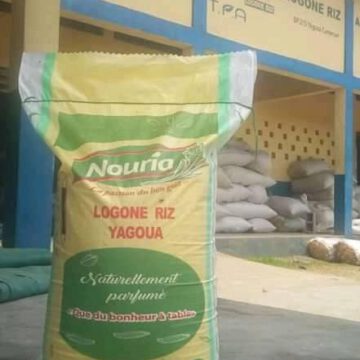 CAMEROUN-ECONOMIE: « NOURIA » UNE MARQUE LOCALE DE RIZ VISE LE MILIEU ESTUDIANTIN CAMEROUN-ECONOMIE: « NOURIA » UNE MARQUE LOCALE DE RIZ VISE LE MILIEU ESTUDIANTIN