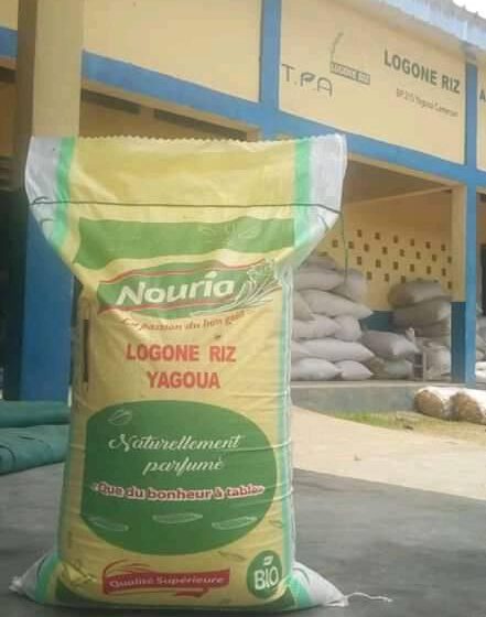 CAMEROUN-ECONOMIE: « NOURIA » UNE MARQUE LOCALE DE RIZ VISE LE MILIEU ESTUDIANTIN CAMEROUN-ECONOMIE: « NOURIA » UNE MARQUE LOCALE DE RIZ VISE LE MILIEU ESTUDIANTIN