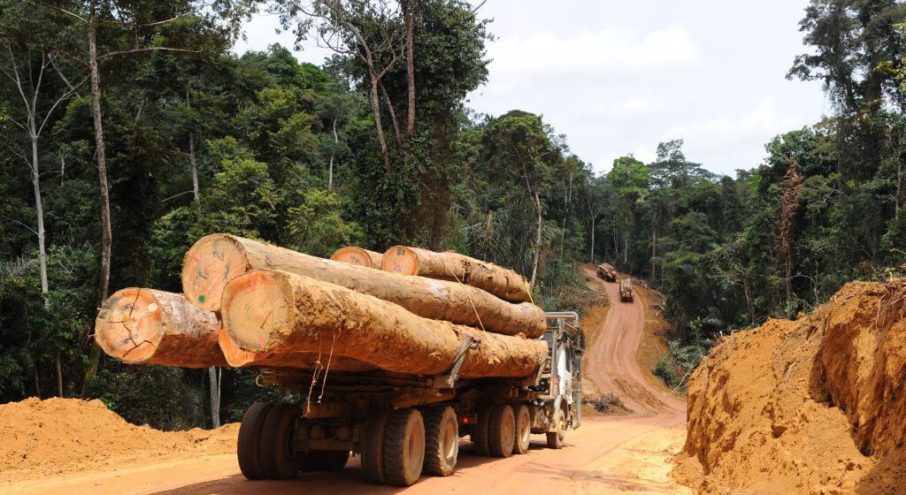 CAMEROUN – EXPLOITATION FORESTIÈRE : UNE ZONE ÉCONOMIQUE SPÉCIALE EN GESTATION CAMEROUN – EXPLOITATION FORESTIÈRE : UNE ZONE ÉCONOMIQUE SPÉCIALE EN GESTATION