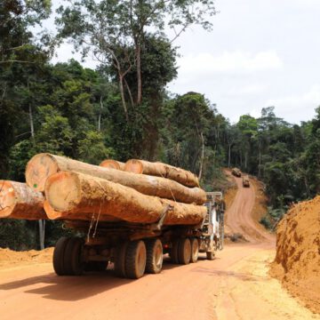 CAMEROUN – EXPLOITATION FORESTIÈRE : UNE ZONE ÉCONOMIQUE SPÉCIALE EN GESTATION CAMEROUN – EXPLOITATION FORESTIÈRE : UNE ZONE ÉCONOMIQUE SPÉCIALE EN GESTATION