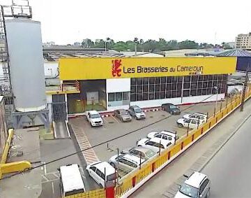 CAMEROUN-INDUSTRIE: LA SABC INVESTIE DANS UNE MAÏSERIE CAMEROUN-INDUSTRIE: LA SABC INVESTIE DANS UNE MAÏSERIE