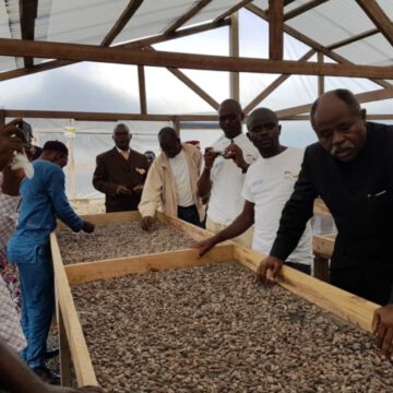 CAMEROUN-AGRICULTURE: NOUVEAU GUICHET DE SUBVENTION POUR LE CACAO ET LE CAFÉ CAMEROUN-AGRICULTURE: NOUVEAU GUICHET DE SUBVENTION POUR LE CACAO ET LE CAFÉ