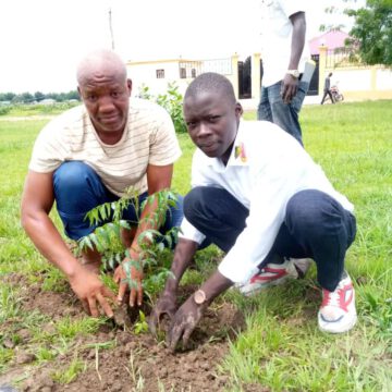CAMEROUN-ENVIRONNEMENT: MAROUA SE VOIT EN VERT CAMEROUN-ENVIRONNEMENT: MAROUA SE VOIT EN VERT