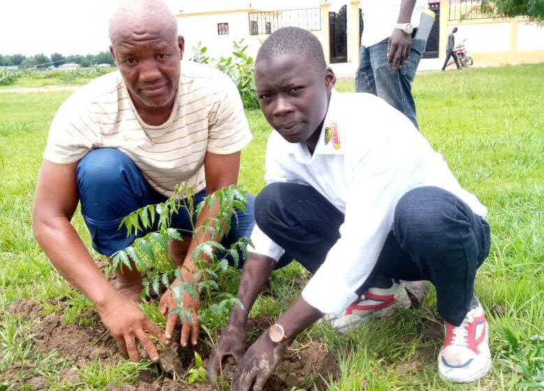 CAMEROUN-ENVIRONNEMENT: MAROUA SE VOIT EN VERT CAMEROUN-ENVIRONNEMENT: MAROUA SE VOIT EN VERT