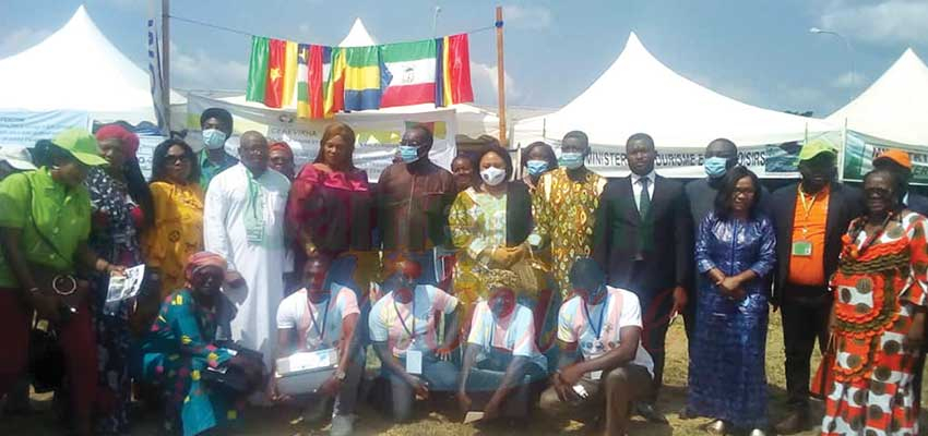 CEMAC – ECHANGES: LA FOIRE TRANSFRONTALIÈRE DE KYE OSSI ATTIRE GRAND MONDE CEMAC – ECHANGES: LA FOIRE TRANSFRONTALIÈRE DE KYE OSSI ATTIRE GRAND MONDE
