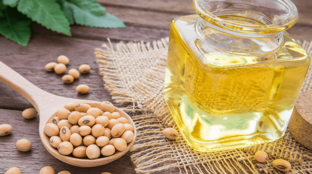 CAMEROUN-INDUSTRIE: AGRIVAR ENVISAGE 15 MILLIARDS D’INVESTISSEMENT POUR LA TRANSFORMATION DU SOJA CAMEROUN-INDUSTRIE: AGRIVAR ENVISAGE 15 MILLIARDS D’INVESTISSEMENT POUR LA TRANSFORMATION DU SOJA