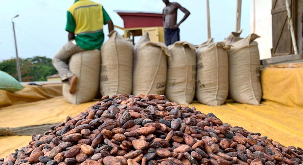 CAMEROUN- PRODUCTION DE CACAO: 12%DE HAUSSE POUR LA CAMPAGNE 2020-2021