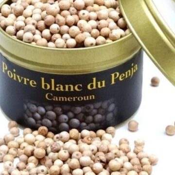 CAMEROUN – ECONOMIE : DES SOLUTIONS POUR SORTIR LE POIVRE DE PENJA DE LA FRAUDE, CHUTE DES PRIX … CAMEROUN – ECONOMIE : DES SOLUTIONS POUR SORTIR LE POIVRE DE PENJA DE LA FRAUDE, CHUTE DES PRIX …