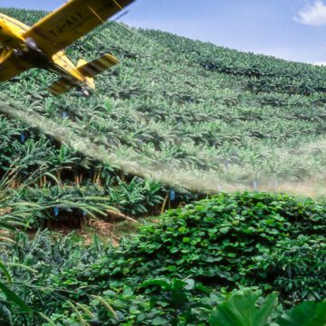 CAMEROUN-AGRICULTURE : VERS L’ACQUISITION D’UN AVION POUR AMELIORER LE TRAITEMENT DES PLANTATIONS DE BANANES CAMEROUN-AGRICULTURE : VERS L’ACQUISITION D’UN AVION POUR AMELIORER LE TRAITEMENT DES PLANTATIONS DE BANANES