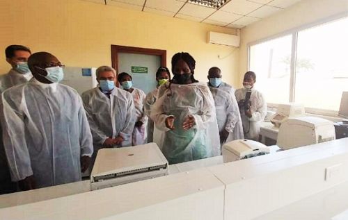 CAMEROUN-LUTTE CONTRE LE PALUDISME : UNE UNITÉ DE RECHERCHE DÉSORMAIS OPÉRATIONNELLE AU CENTRE PASTEUR DE YAOUNDÉ CAMEROUN-LUTTE CONTRE LE PALUDISME : UNE UNITÉ DE RECHERCHE DÉSORMAIS OPÉRATIONNELLE AU CENTRE PASTEUR DE YAOUNDÉ