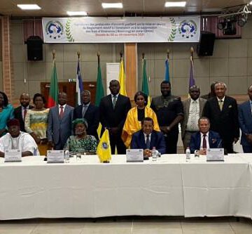 AFRIQUE-TÉLÉCOMS : LE FREE ROAMING BIENTÔT EFFECTIF EN ZONE CEMAC AFRIQUE-TÉLÉCOMS : LE FREE ROAMING BIENTÔT EFFECTIF EN ZONE CEMAC