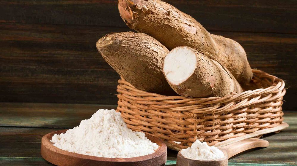 CAMEROUN-CONSOMMATION: PLAIDOYER POUR L’INCORPORATION DE LA FARINE DE MANIOC DANS LE PAIN CAMEROUN-CONSOMMATION: PLAIDOYER POUR L’INCORPORATION DE LA FARINE DE MANIOC DANS LE PAIN