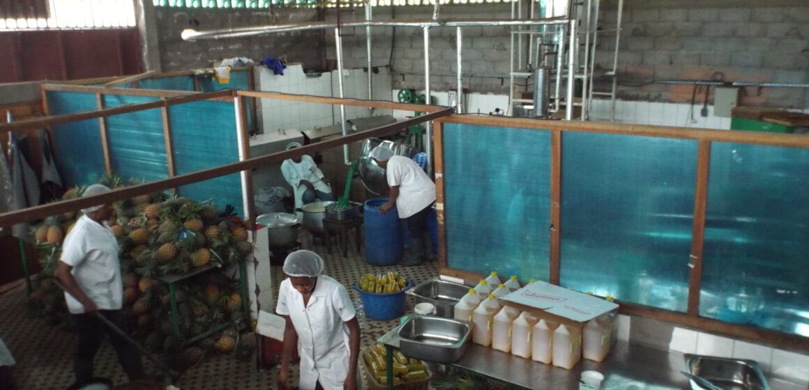 CAMEROUN-INVESTISSEMENT: BIENTÔT UNE USINE DE PRODUCTION DE JUS DE FRUITS DANS LE MOUNGO CAMEROUN-INVESTISSEMENT: BIENTÔT UNE USINE DE PRODUCTION DE JUS DE FRUITS DANS LE MOUNGO