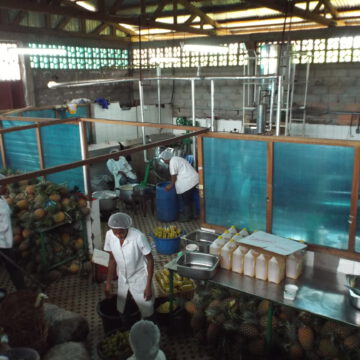 CAMEROUN-INVESTISSEMENT: BIENTÔT UNE USINE DE PRODUCTION DE JUS DE FRUITS DANS LE MOUNGO CAMEROUN-INVESTISSEMENT: BIENTÔT UNE USINE DE PRODUCTION DE JUS DE FRUITS DANS LE MOUNGO