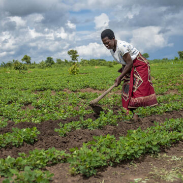 CAMEROUN-AGRICULTURE: DES DONNÉES MÉTÉOROLOGIQUES ET CLIMATIQUES POUR BOOSTER LA PRODUCTION CAMEROUN-AGRICULTURE: DES DONNÉES MÉTÉOROLOGIQUES ET CLIMATIQUES POUR BOOSTER LA PRODUCTION