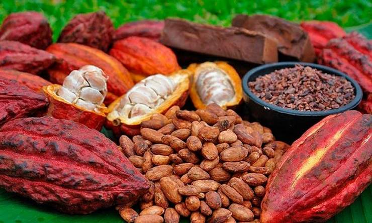 CAMEROUN-CACAO: UNE  ASSOCIATION FRANCO-CAMEROUNAISE POUR DES FÈVES DE QUALITÉ CAMEROUN-CACAO: UNE  ASSOCIATION FRANCO-CAMEROUNAISE POUR DES FÈVES DE QUALITÉ