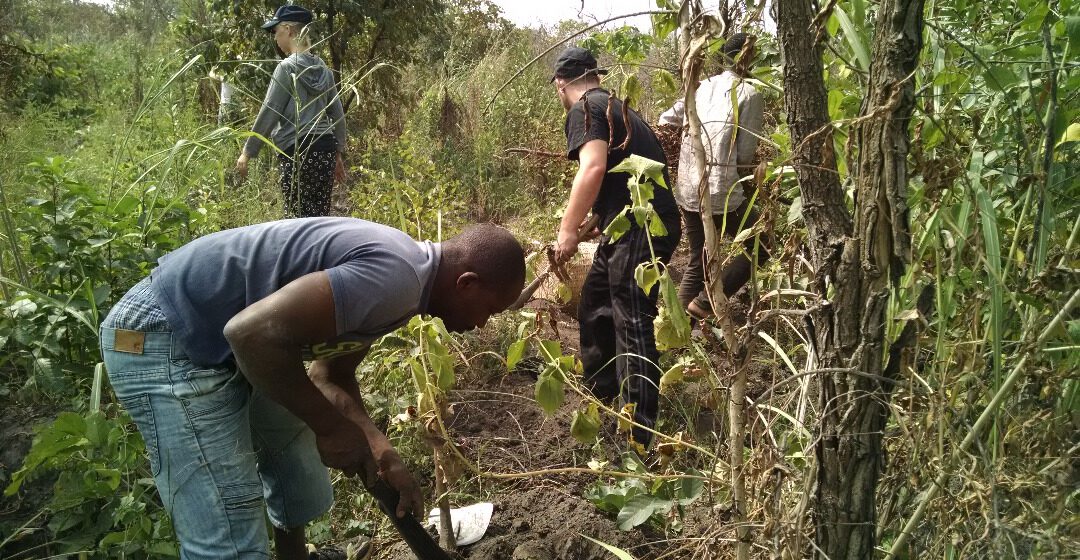 AFRIQUE-AGRICULTURE: AVES PROMEUT L’AGROFORESTERIE AU TOGO FACE AU CHANGEMENT CLIMATIQUE AFRIQUE-AGRICULTURE: AVES PROMEUT L’AGROFORESTERIE AU TOGO FACE AU CHANGEMENT CLIMATIQUE