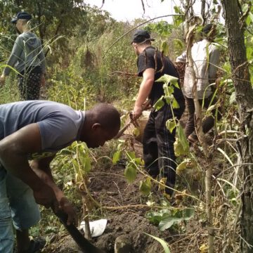 AFRIQUE-AGRICULTURE: AVES PROMEUT L’AGROFORESTERIE AU TOGO FACE AU CHANGEMENT CLIMATIQUE AFRIQUE-AGRICULTURE: AVES PROMEUT L’AGROFORESTERIE AU TOGO FACE AU CHANGEMENT CLIMATIQUE