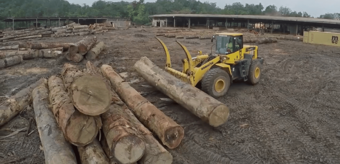 CAMEROUN-EXPLOITATION FORESTIÈRE : QUE FAUT IL ATTENDRE DE LA NON EXPORTATION DES GRUMES? CAMEROUN-EXPLOITATION FORESTIÈRE : QUE FAUT IL ATTENDRE DE LA NON EXPORTATION DES GRUMES?