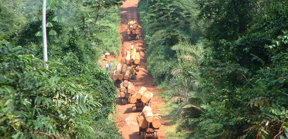 AFRIQUE CENTRALE- ENVIRONNEMENT : LES ÉLUS LOCAUX INTERPELLÉS AFRIQUE CENTRALE- ENVIRONNEMENT : LES ÉLUS LOCAUX INTERPELLÉS