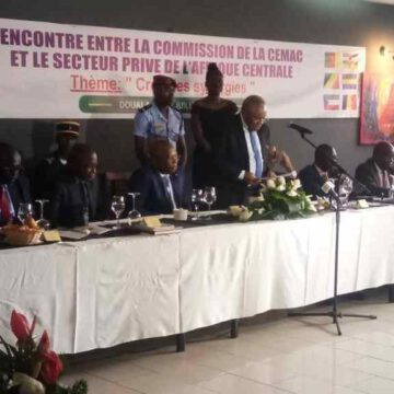 CEMAC : SYNERGIE ENTRE LA COMMISSION ET Le SECTEUR PRIVÉ. CEMAC : SYNERGIE ENTRE LA COMMISSION ET Le SECTEUR PRIVÉ.