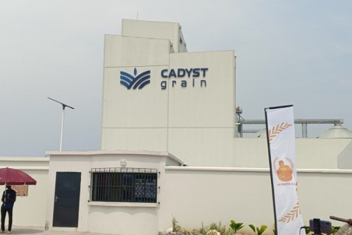CAMEROUN-AGRO INDUSTRIE : CADYST A DESORMAIS UNE INDUSTRIE DE PRODUCTION DE BLE A KRIBI CAMEROUN-AGRO INDUSTRIE : CADYST A DESORMAIS UNE INDUSTRIE DE PRODUCTION DE BLE A KRIBI