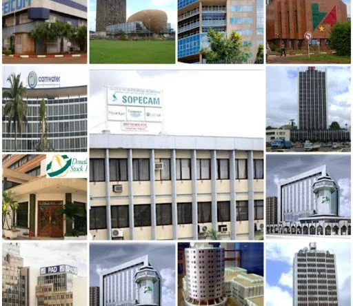 CAMEROUN-PERFORMANCE : LES 15 MEILLEURS ENTREPRISES CAMEROUNAIS EN 2022 CAMEROUN-PERFORMANCE : LES 15 MEILLEURS ENTREPRISES CAMEROUNAIS EN 2022
