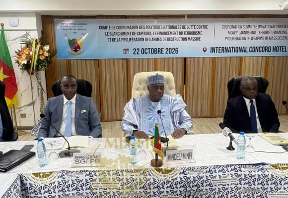 BLANCHIMENT DES CAPITAUX- LE CAMEROUN TOUJOURS PAS ASSEZ « BLANC » DEVANT LE GAFI